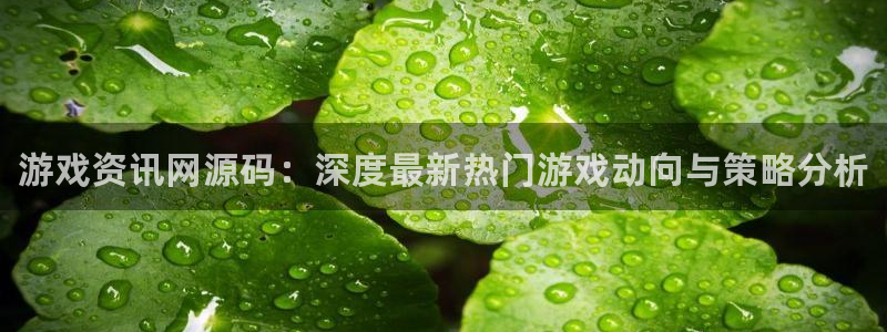 鼎点娱乐官网登录：游戏资讯网源码：深度最新热门游戏动向与策略