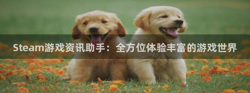 鼎点娱乐平台注册资金多少：Steam游戏资讯助手：全方位体验