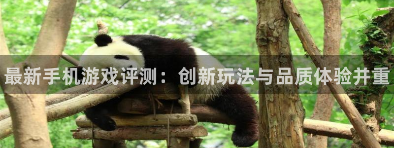 鼎点娱乐app下载：最新手机游戏评测：创新玩法与品质体验并重