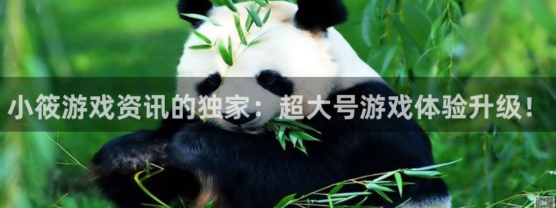 鼎点娱乐娱乐：小筱游戏资讯的独家：超大号游戏体验升级！