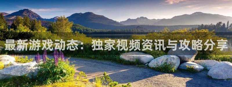 鼎点娱乐4招商：最新游戏动态：独家视频资讯与攻略分享