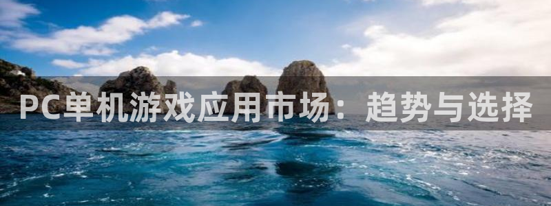 手机鼎点娱乐下载安装：PC单机游戏应用市场：趋势与选择