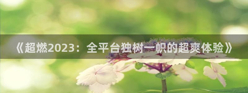 鼎点娱乐下载：《超燃2023：全平台独树一帜的超爽体验》
