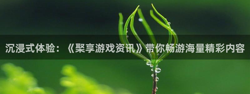 鼎点娱乐的意思：沉浸式体验：《棸享游戏资讯》带你畅游海量精彩