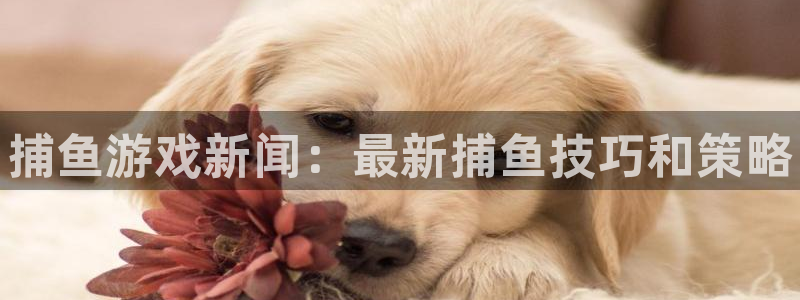 鼎点娱乐平台官网入口：捕鱼游戏新闻：最新捕鱼技巧和策略