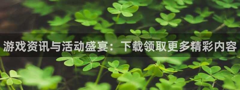 鼎点娱乐官网登录