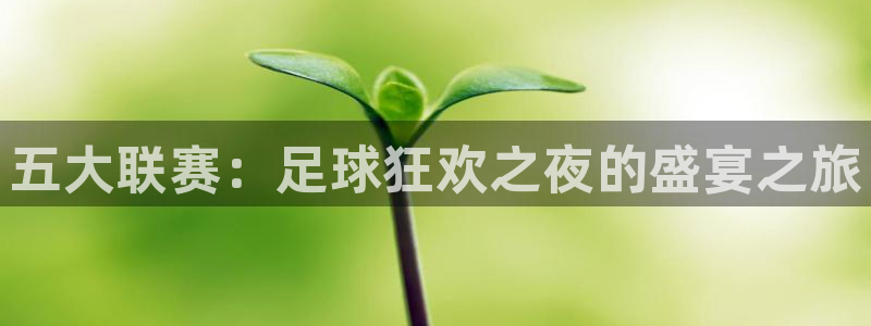绿茵直播足球直播网：五大联赛：足球狂欢之夜的盛宴之旅