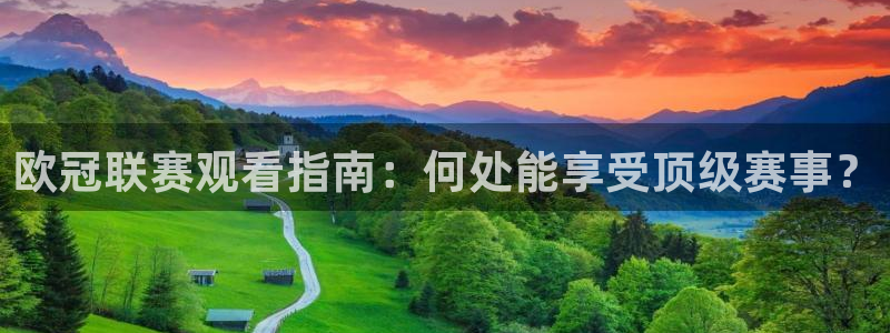 [足球]绿茵魔术师：欧冠联赛观看指南：何处能享受顶级赛事？