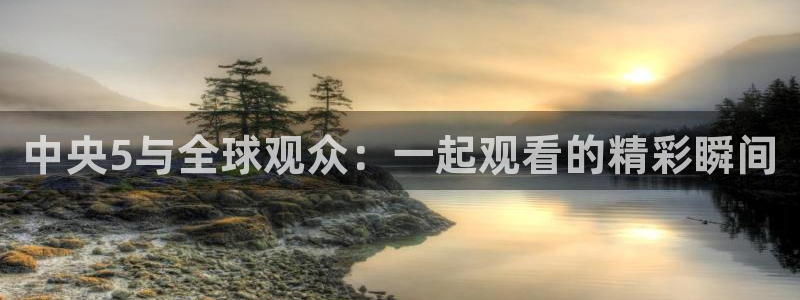 足球直播绿茵直播：中央5与全球观众：一起观看的精彩瞬间