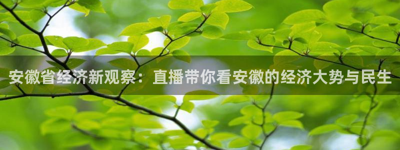 绿茵直播体育在线观看高清：安徽省经济新观察：直播带你看安徽的经济大势与民生