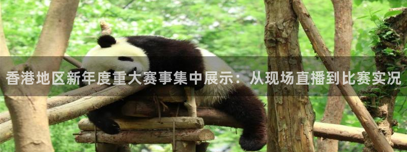 绿茵足球直播免费观看：香港地区新年度重大赛事集中展示：从现场直播到比赛实况