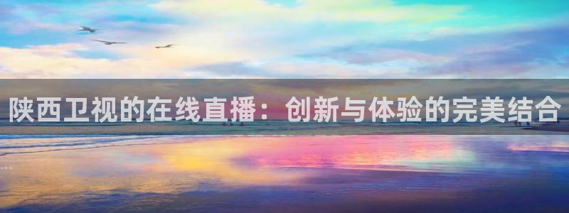 绿茵直播球赛在线观看：陕西卫视的在线直播：创新与体验的完美结合