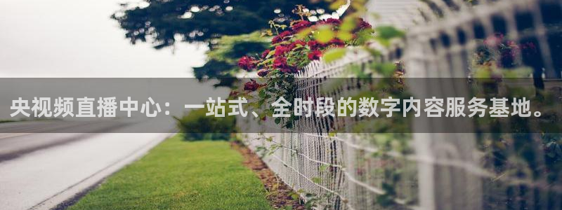 绿茵直播免费看球直播：央视频直播中心：一站式、全时段的数字内容服务基地。