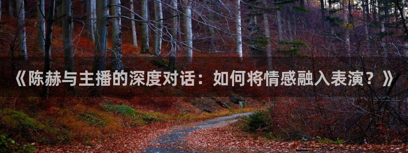 绿茵足球直播免费观看：《陈赫与主播的深度对话：如何将情感融入表演？》