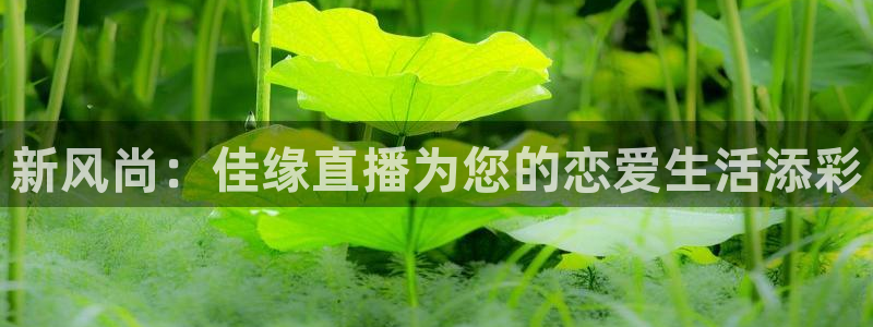 足球之绿茵球王：新风尚：佳缘直播为您的恋爱生活添彩